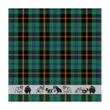 DDDDD THEEDOEK BULLY GROEN ()